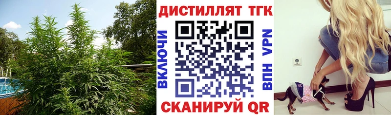 Купить  Осинники  ТГК THC oil 
